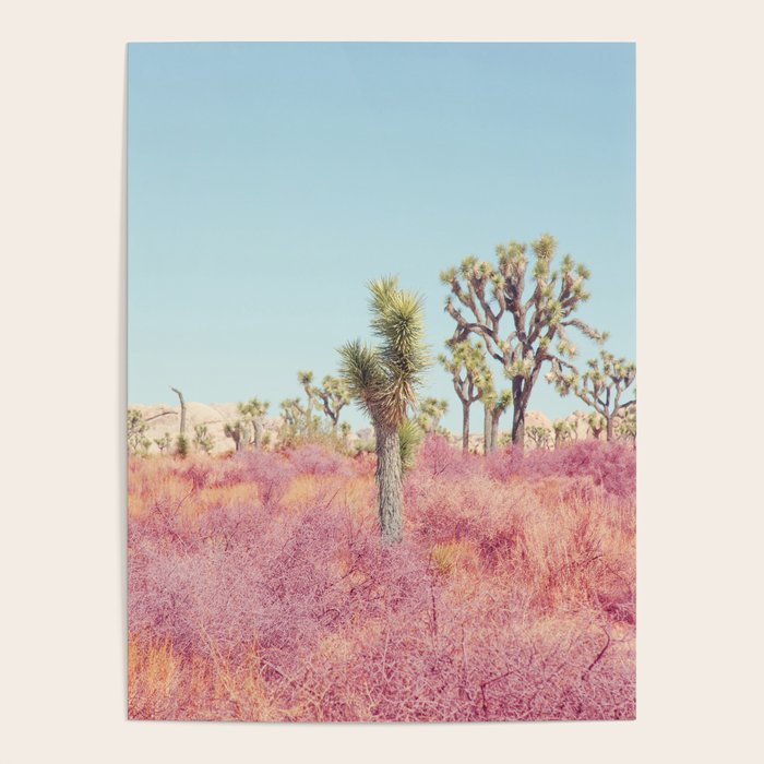 Surreal Pink Desert - Joshua Tree Landscape Photography Poster Gallery Image 1