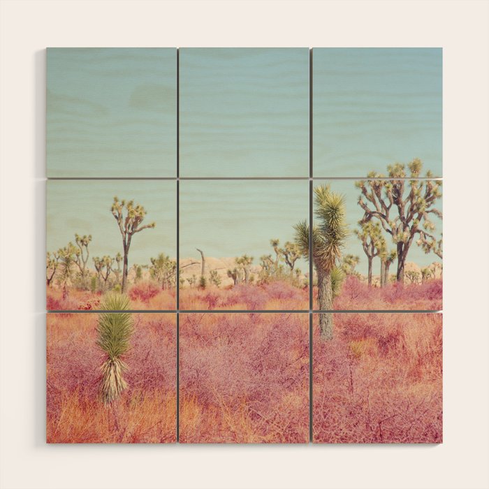 Surreal Pink Desert - Joshua Tree Landscape Photography Wood Wall Art Gallery Image 1