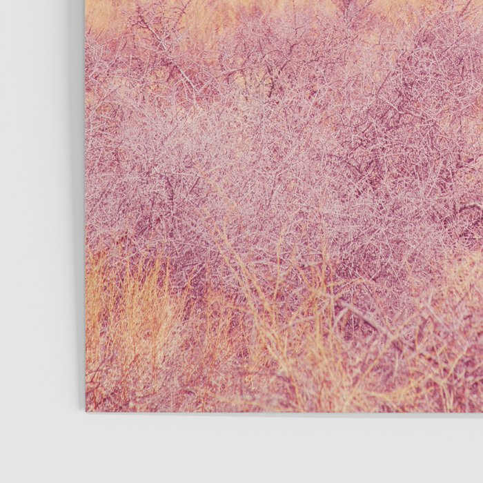 Surreal Pink Desert - Joshua Tree Landscape Photography Poster Gallery Image 3