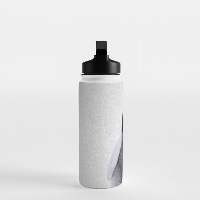 Baby Penguin - Colorful Water Bottle Gallery Image 3