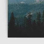 Mount Hood XII Poster Gallery Image 3