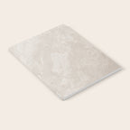 tan plaster stone finish look Notebook Gallery Image 2