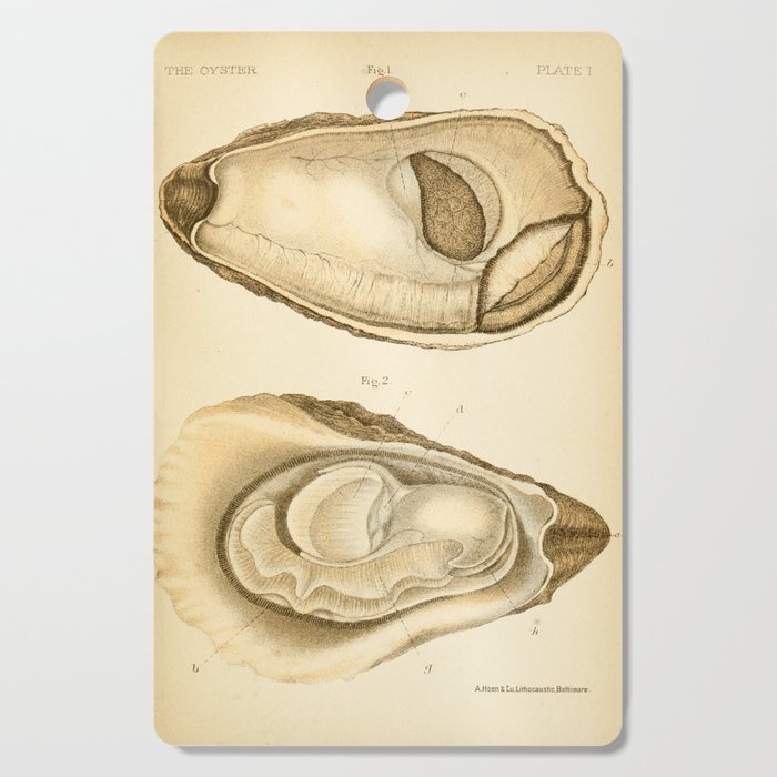 Oyster from "The Oyster: A Popular Summary of a Scientific Study," 1891 (benefitting the Billion Oyster Project) Cutting Board Gallery Image 1