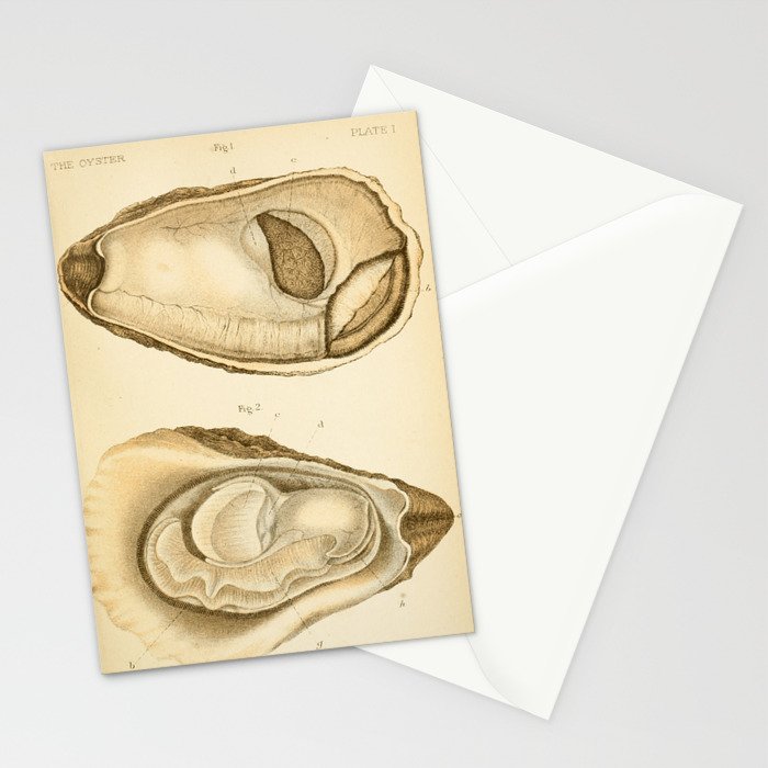Oyster from "The Oyster: A Popular Summary of a Scientific Study," 1891 (benefitting the Billion Oyster Project) Stationery Card Gallery Image 2