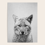 Coyote - Black & White Poster Gallery Image 4