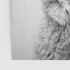 Coyote - Black & White Poster Gallery Image 3