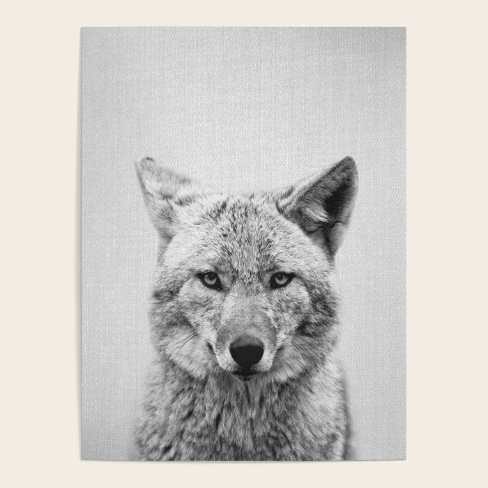 Coyote - Black & White Poster Gallery Image 1