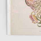 daydream aufbluehen der illusion Poster Gallery Image 3