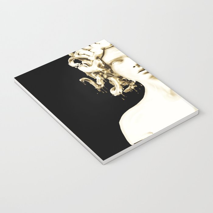 Gold Medusa Notebook Gallery Image 3