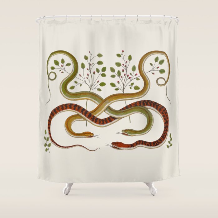 Snakes by Albertus Seba Shower Curtain Gallery Image 1