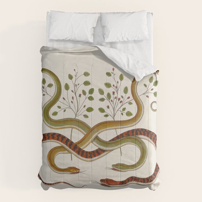 Snakes by Albertus Seba Comforter Gallery Image 6