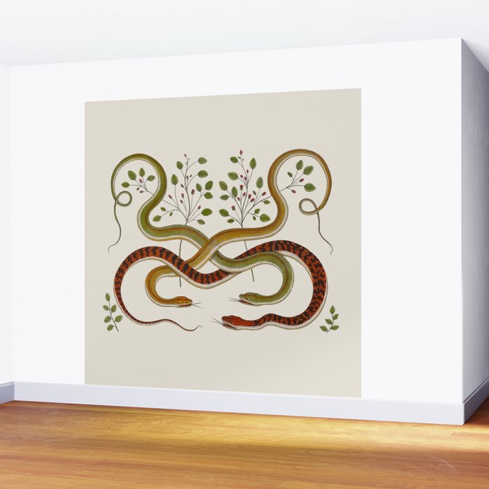 Snakes by Albertus Seba Wall Mural Gallery Image 2