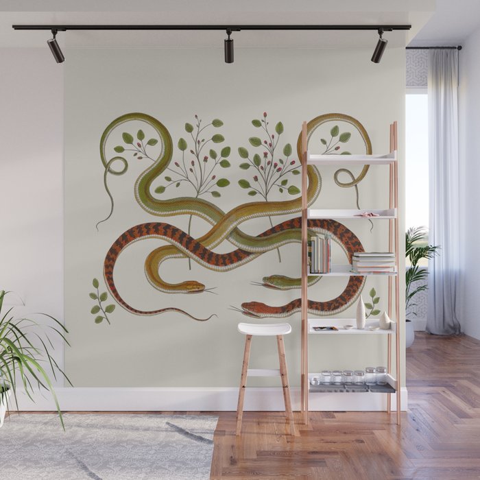 Snakes by Albertus Seba Wall Mural Gallery Image 1