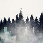into the wilderness Coffee Mug Gallery Image 2