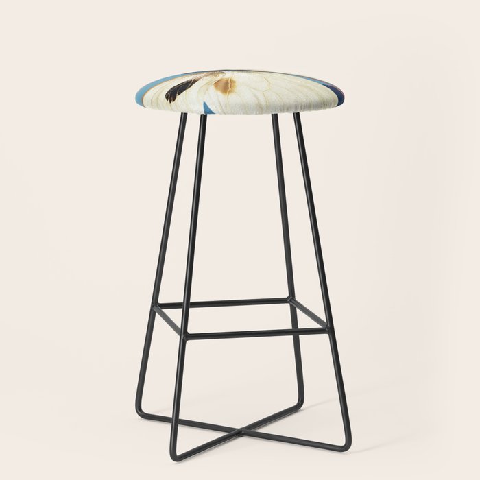 Butterfly 2 Stool Gallery Image 1