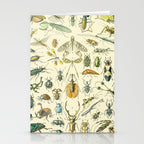 Bugs and Insect Vintage Illustration Drawing by Adolphe Millot of Giant Beatle Dragon Flies Leaf Bug Stationery Card Gallery Image 2