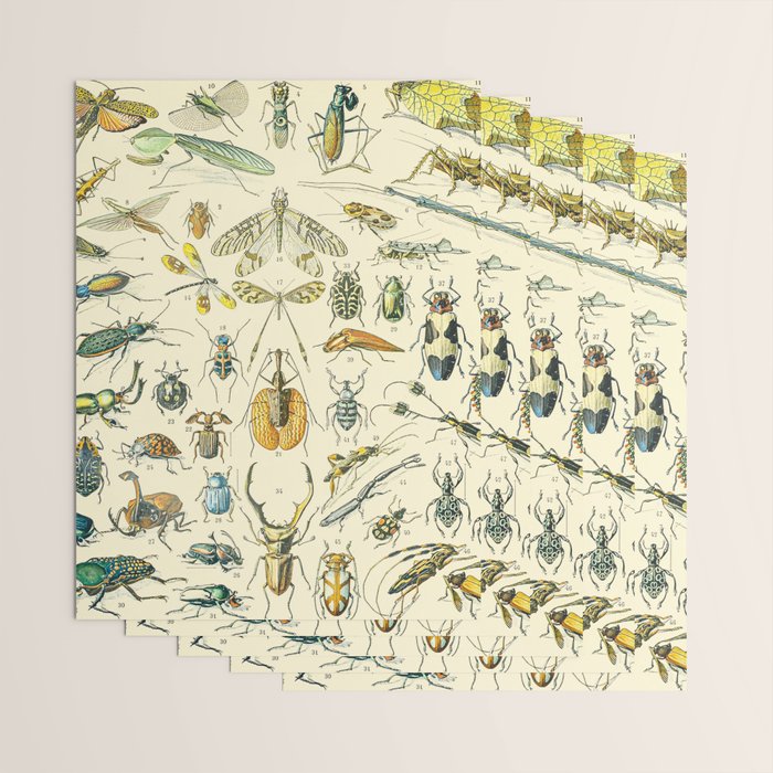 Bugs and Insect Vintage Illustration Drawing by Adolphe Millot of Giant Beatle Dragon Flies Leaf Bug Wrapping Paper Gallery Image 3