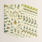 Bugs and Insect Vintage Illustration Drawing by Adolphe Millot of Giant Beatle Dragon Flies Leaf Bug Wrapping Paper Gallery Image 3