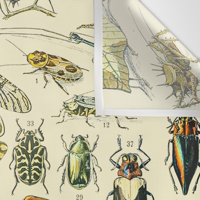 Bugs and Insect Vintage Illustration Drawing by Adolphe Millot of Giant Beatle Dragon Flies Leaf Bug Wall Tapestry Gallery Image 3