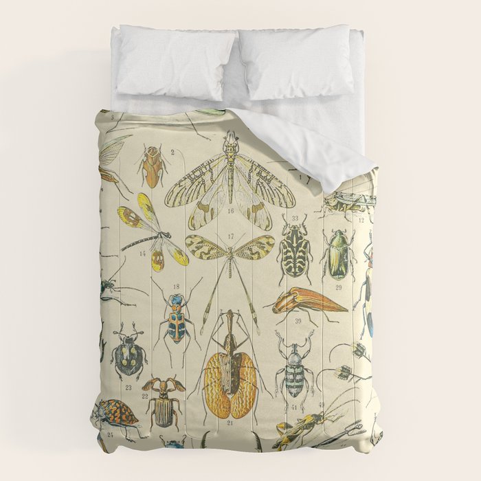 Bugs and Insect Vintage Illustration Drawing by Adolphe Millot of Giant Beatle Dragon Flies Leaf Bug Comforter Gallery Image 6