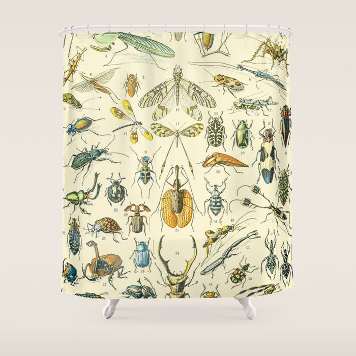 Bugs and Insect Vintage Illustration Drawing by Adolphe Millot of Giant Beatle Dragon Flies Leaf Bug Shower Curtain Gallery Image 1