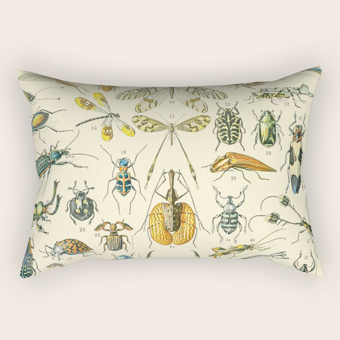 Bugs and Insect Vintage Illustration Drawing by Adolphe Millot of Giant Beatle Dragon Flies Leaf Bug Rectangular Pillow Gallery Image 2