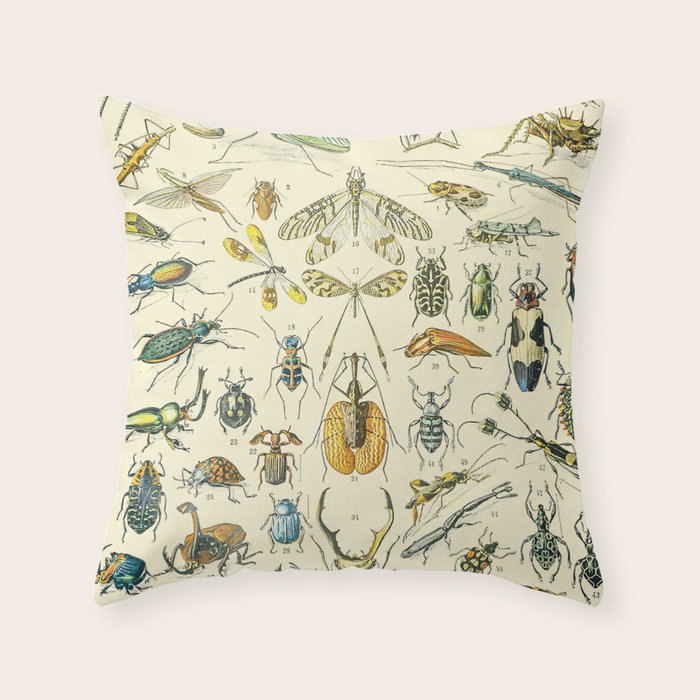 Bugs and Insect Vintage Illustration Drawing by Adolphe Millot of Giant Beatle Dragon Flies Leaf Bug Throw Pillow Gallery Image 6