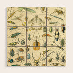 Bugs and Insect Vintage Illustration Drawing by Adolphe Millot of Giant Beatle Dragon Flies Leaf Bug Wood Wall Art Gallery Image 1
