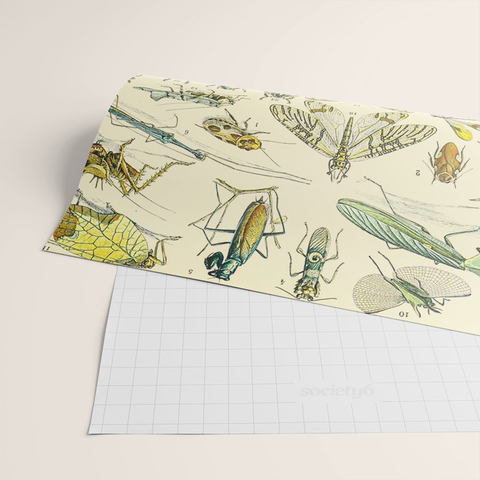 Bugs and Insect Vintage Illustration Drawing by Adolphe Millot of Giant Beatle Dragon Flies Leaf Bug Wrapping Paper Gallery Image 2