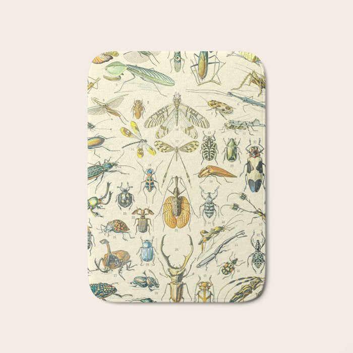 Bugs and Insect Vintage Illustration Drawing by Adolphe Millot of Giant Beatle Dragon Flies Leaf Bug Bath Mat Gallery Image 1
