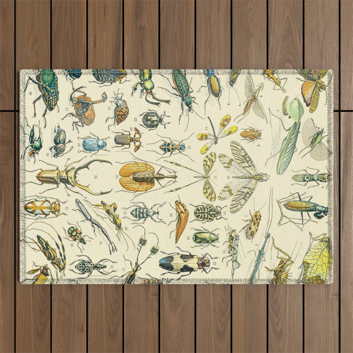 Bugs and Insect Vintage Illustration Drawing by Adolphe Millot of Giant Beatle Dragon Flies Leaf Bug Outdoor Rug Gallery Image 1