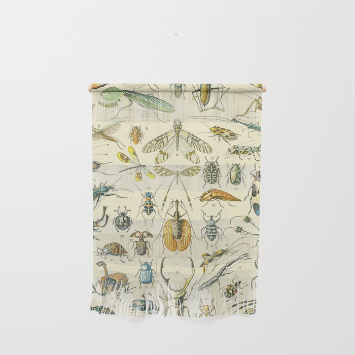 Bugs and Insect Vintage Illustration Drawing by Adolphe Millot of Giant Beatle Dragon Flies Leaf Bug Wall Hanging Gallery Image 1