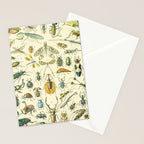 Bugs and Insect Vintage Illustration Drawing by Adolphe Millot of Giant Beatle Dragon Flies Leaf Bug Stationery Card Gallery Image 2