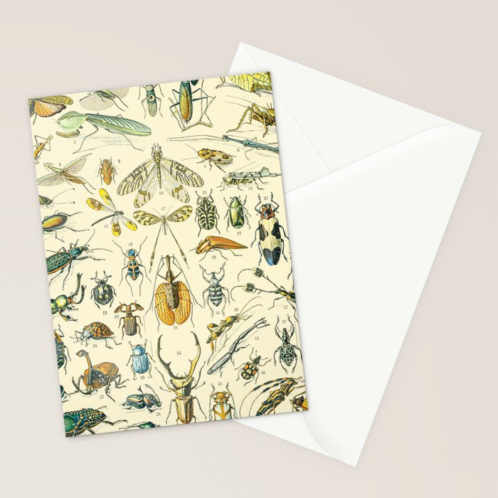 Bugs and Insect Vintage Illustration Drawing by Adolphe Millot of Giant Beatle Dragon Flies Leaf Bug Stationery Card Gallery Image 2
