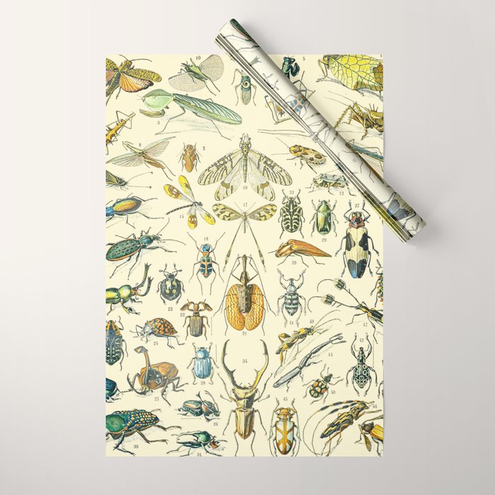 Bugs and Insect Vintage Illustration Drawing by Adolphe Millot of Giant Beatle Dragon Flies Leaf Bug Wrapping Paper Gallery Image 1