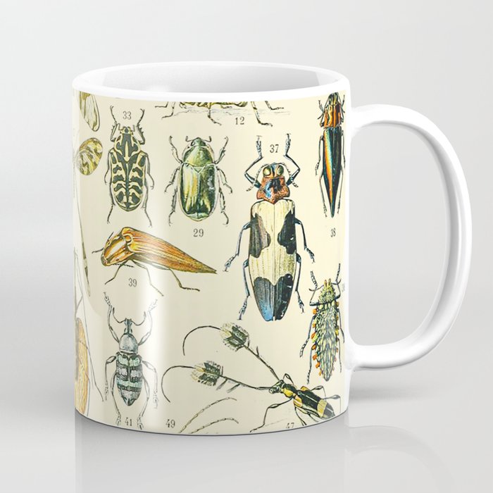 Bugs and Insect Vintage Illustration Drawing by Adolphe Millot of Giant Beatle Dragon Flies Leaf Bug Coffee Mug Gallery Image 1