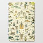 Bugs and Insect Vintage Illustration Drawing by Adolphe Millot of Giant Beatle Dragon Flies Leaf Bug Cutting Board Gallery Image 1