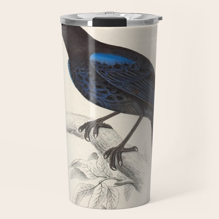 Malabar whistling-thrush by Elizabeth Gould from "A Century of Birds from the Himalaya Mountains" Travel Mug Gallery Image 1
