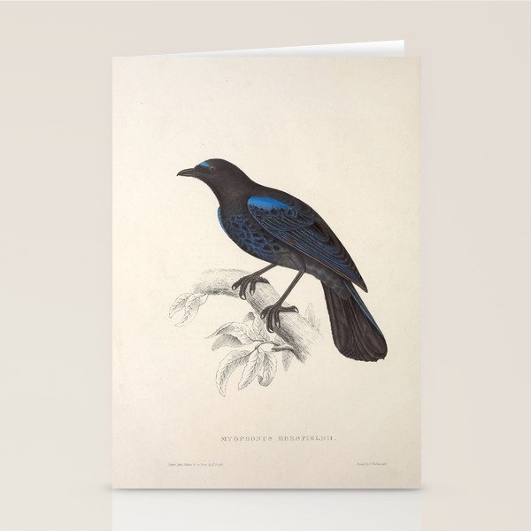 Malabar whistling-thrush by Elizabeth Gould from "A Century of Birds from the Himalaya Mountains" Stationery Card Gallery Image 2