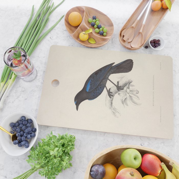 Malabar whistling-thrush by Elizabeth Gould from "A Century of Birds from the Himalaya Mountains" Cutting Board Gallery Image 2