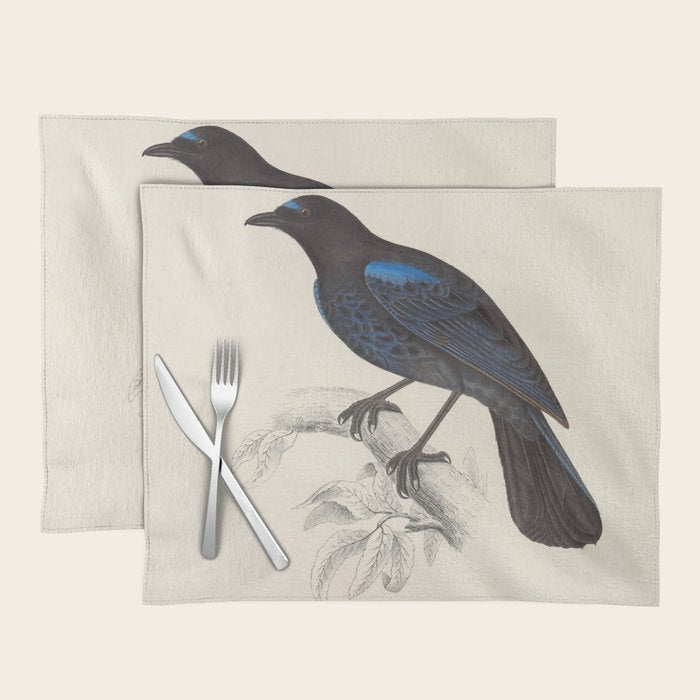 Malabar whistling-thrush by Elizabeth Gould from "A Century of Birds from the Himalaya Mountains" Placemat Gallery Image 1
