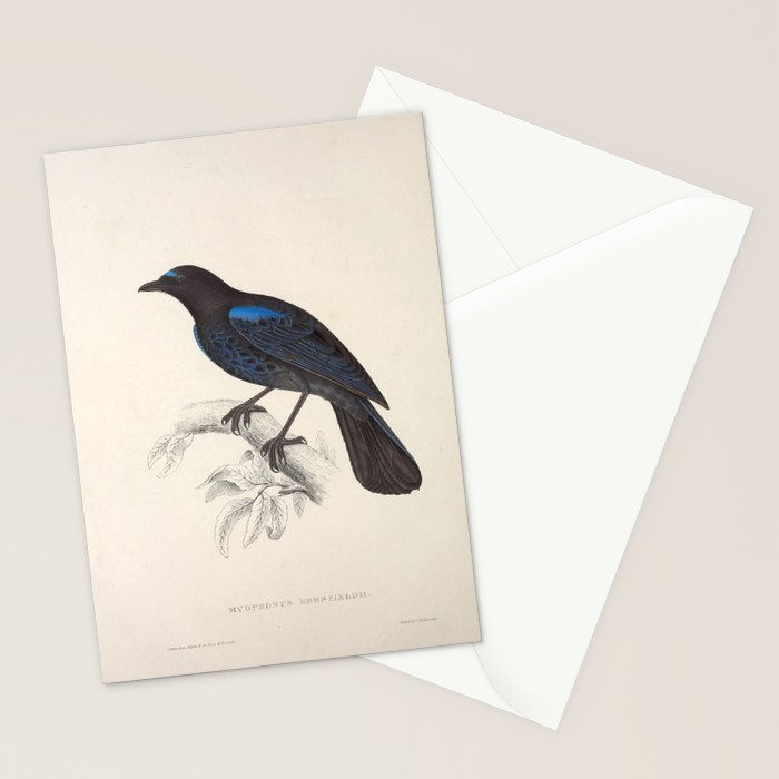 Malabar whistling-thrush by Elizabeth Gould from "A Century of Birds from the Himalaya Mountains" Stationery Card Gallery Image 2