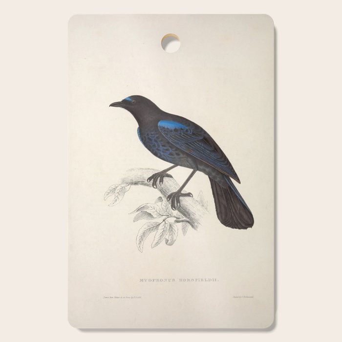 Malabar whistling-thrush by Elizabeth Gould from "A Century of Birds from the Himalaya Mountains" Cutting Board Gallery Image 1