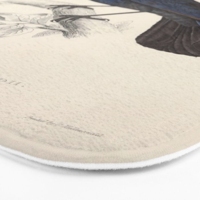 Malabar whistling-thrush by Elizabeth Gould from "A Century of Birds from the Himalaya Mountains" Bath Mat Gallery Image 3