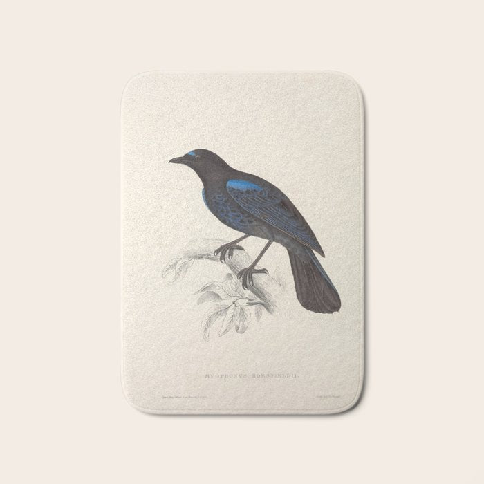 Malabar whistling-thrush by Elizabeth Gould from "A Century of Birds from the Himalaya Mountains" Bath Mat Gallery Image 1