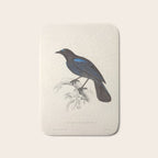 Malabar whistling-thrush by Elizabeth Gould from "A Century of Birds from the Himalaya Mountains" Bath Mat Gallery Image 1