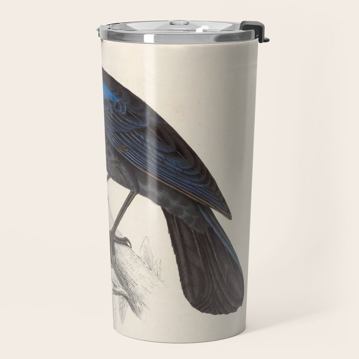 Malabar whistling-thrush by Elizabeth Gould from "A Century of Birds from the Himalaya Mountains" Travel Mug Gallery Image 2