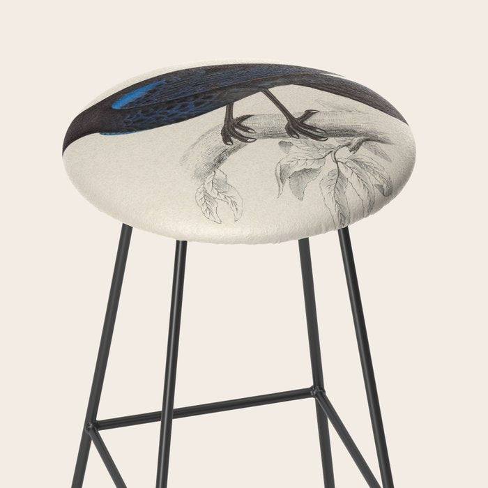 Malabar whistling-thrush by Elizabeth Gould from "A Century of Birds from the Himalaya Mountains" Stool Gallery Image 2