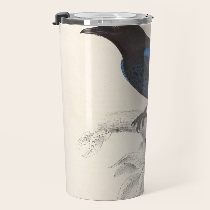 Malabar whistling-thrush by Elizabeth Gould from "A Century of Birds from the Himalaya Mountains" Travel Mug Gallery Image 3