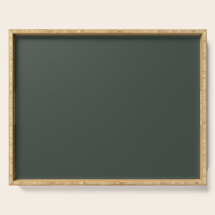 Neutral Sage Grey Solid Color Serving Tray Gallery Image 1